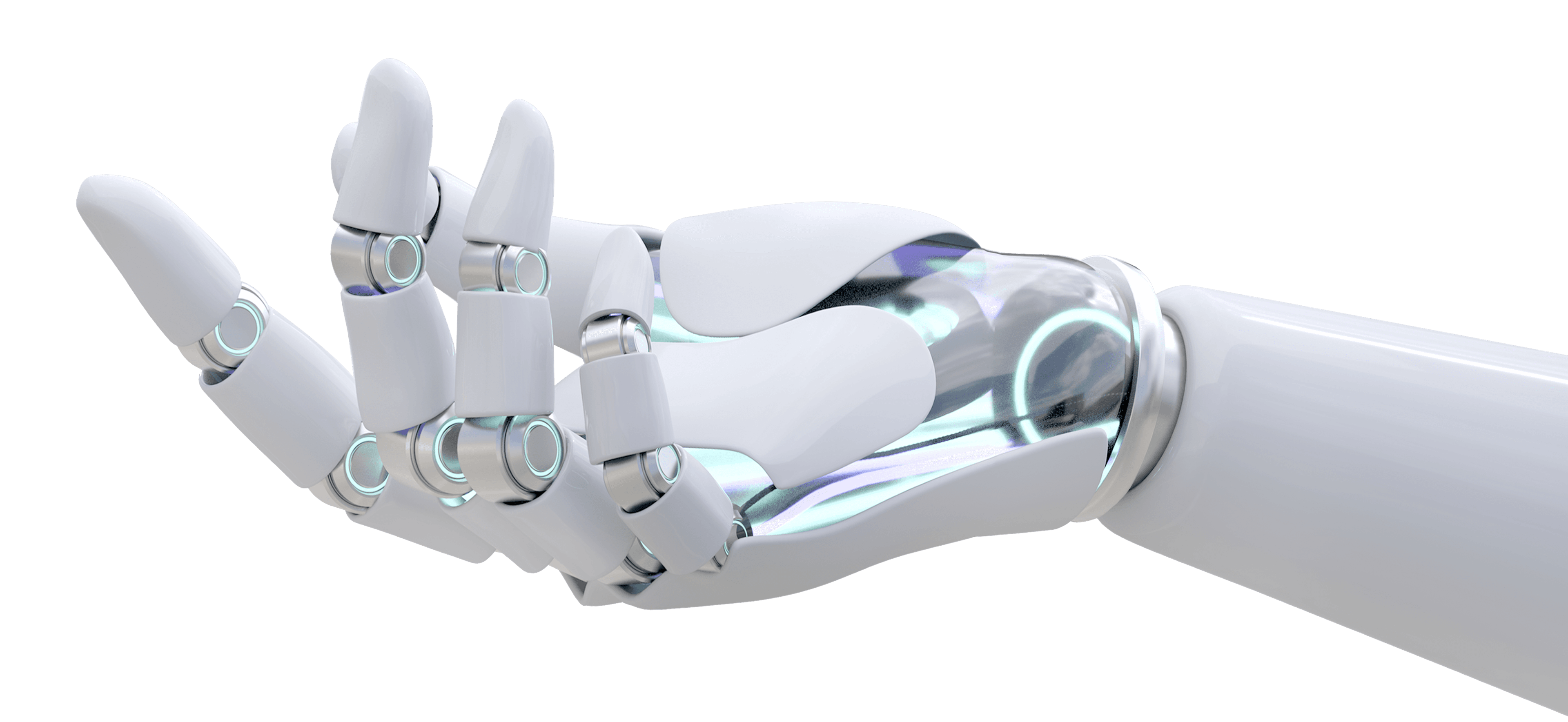 ERP & Enterprise Systems